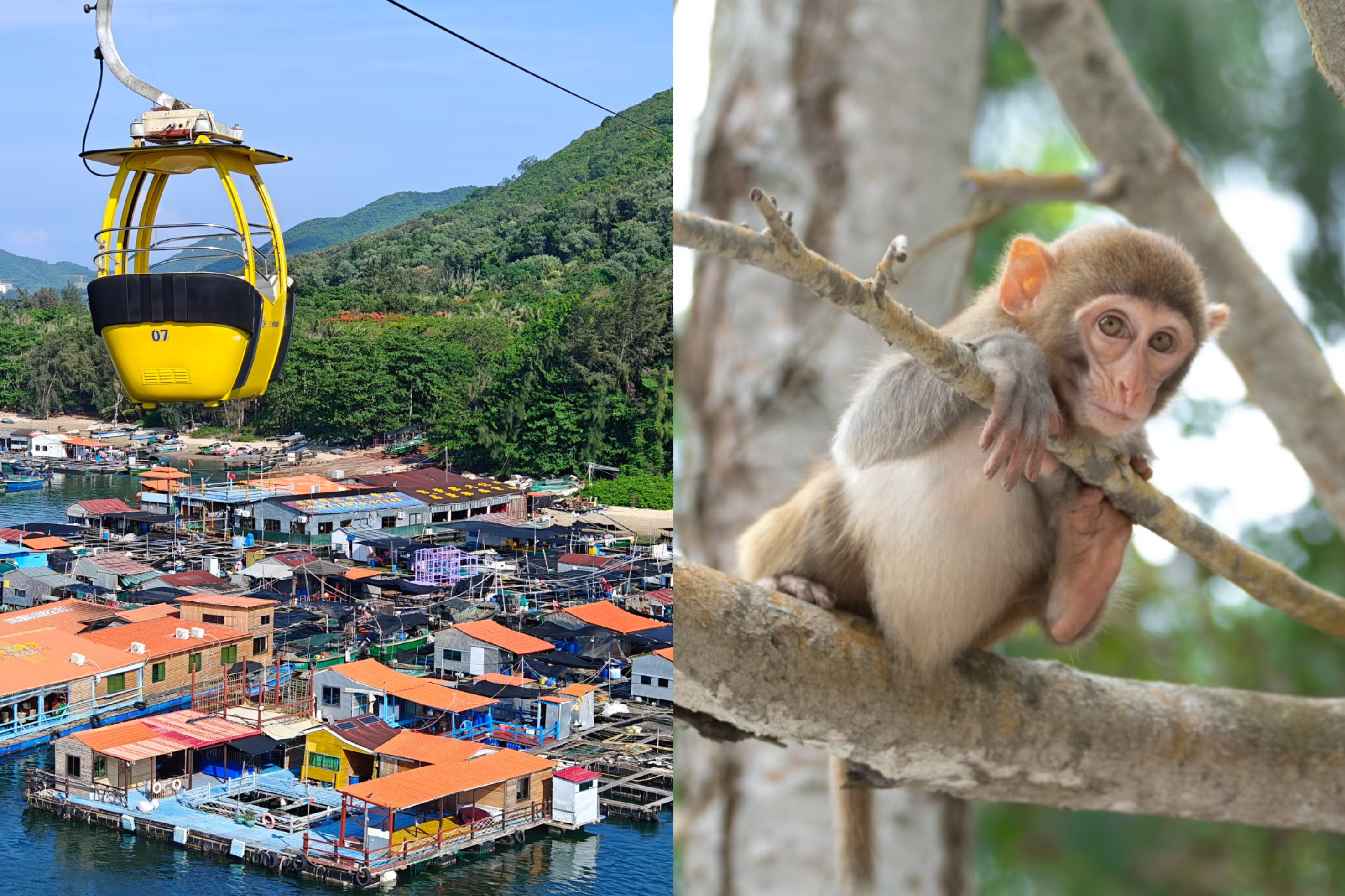 Nanwan Monkey Island